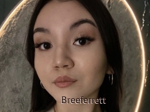 Breeferrett