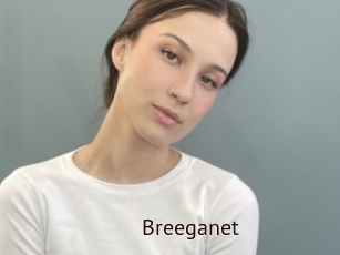 Breeganet