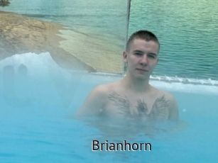 Brianhorn