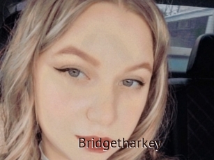 Bridgetharkey