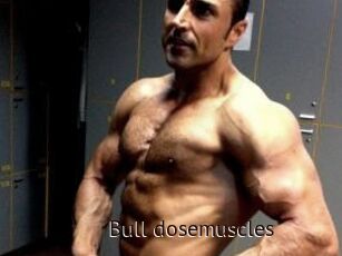 Bull_dosemuscles