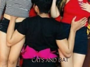 CATS_AND_BAT