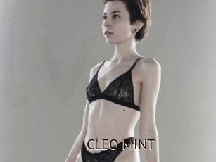 CLEO_MINT