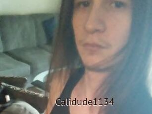 Calidude1134