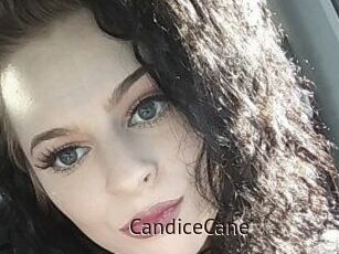 Candice_Cane