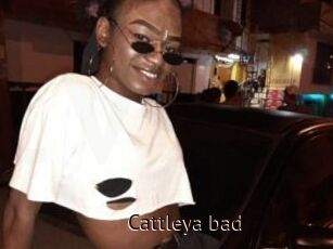 Cattleya_bad
