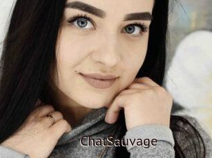 ChatSauvage