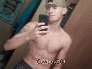 Cowboy201