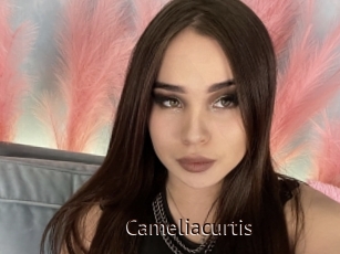 Cameliacurtis