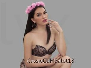 CassieCUMSalot18