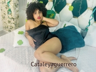 Cataleyaguerrero