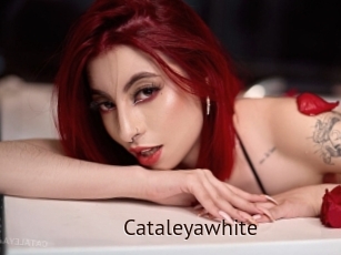 Cataleyawhite