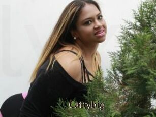 Cattybig