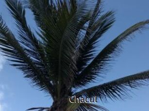 Chacul