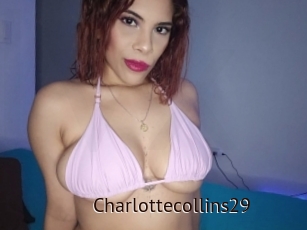 Charlottecollins29