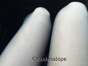 Chaudesalope