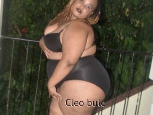 Cleo_bule