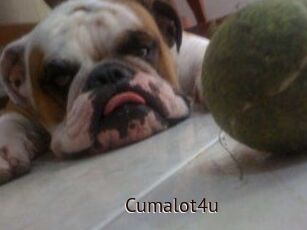 Cumalot4u