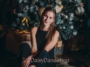 DaisyDandelion