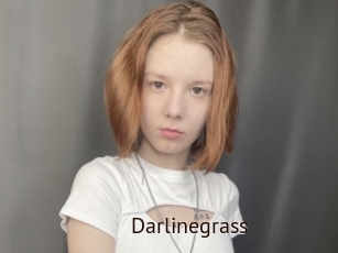 Darlinegrass