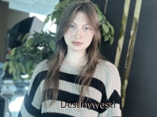 Destinywesti