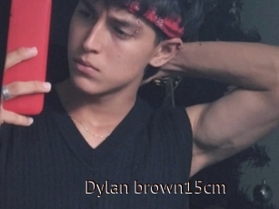 Dylan_brown15cm