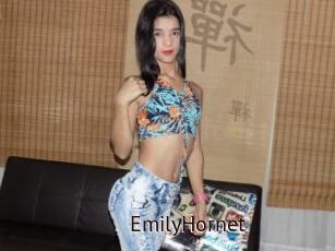 EmilyHornet