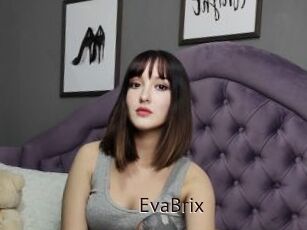 EvaBrix