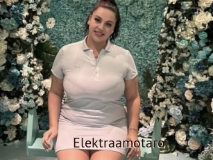 Elektraamotaro