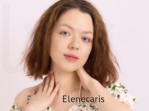 Elenecaris