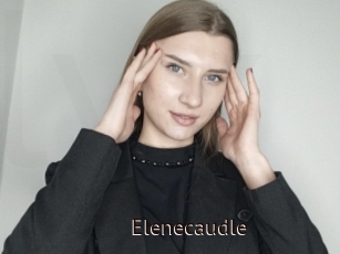 Elenecaudle