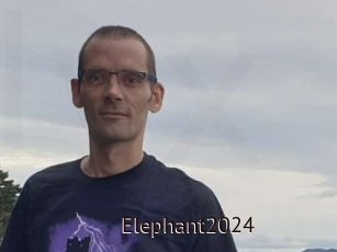 Elephant2024