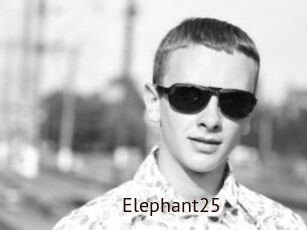 Elephant25