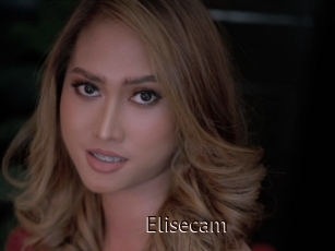 Elisecam