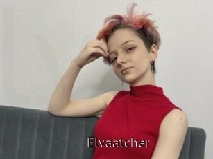 Elvaatcher