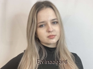 Elvinaagard