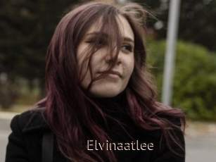 Elvinaatlee