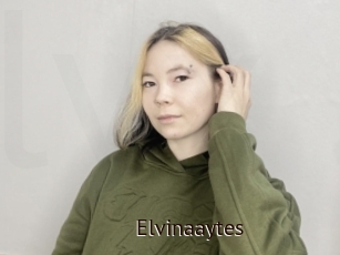 Elvinaaytes