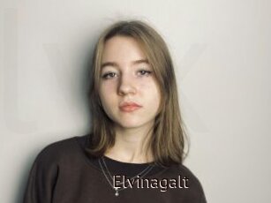 Elvinagalt