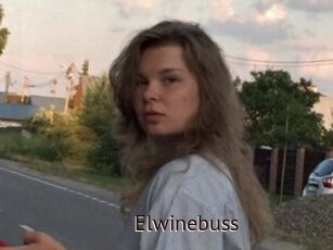 Elwinebuss