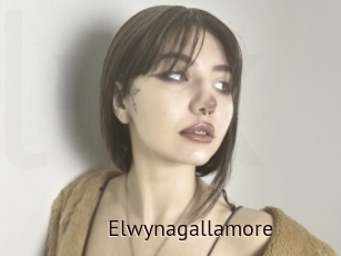 Elwynagallamore