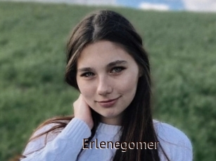 Erlenegomer