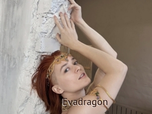 Evadragon