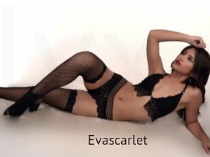 Evascarlet