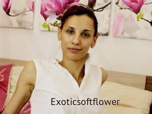 Exoticsoftflower