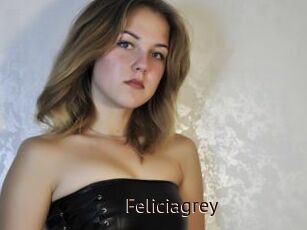 Feliciagrey