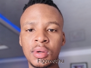 Figowethu