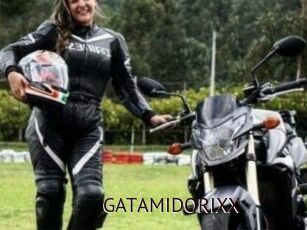 GATAMIDORIXX