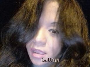 Gattina