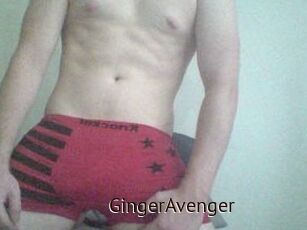 GingerAvenger